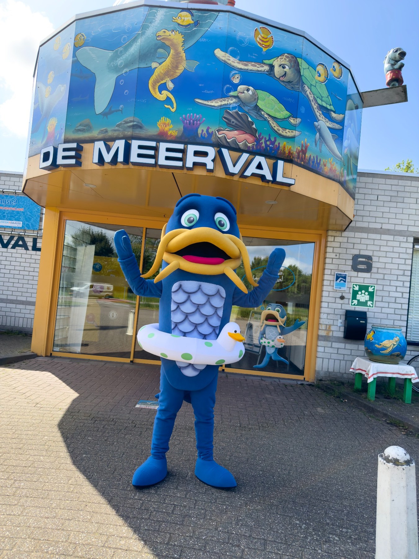 Overzichtsfoto van Zwembad De Meerval