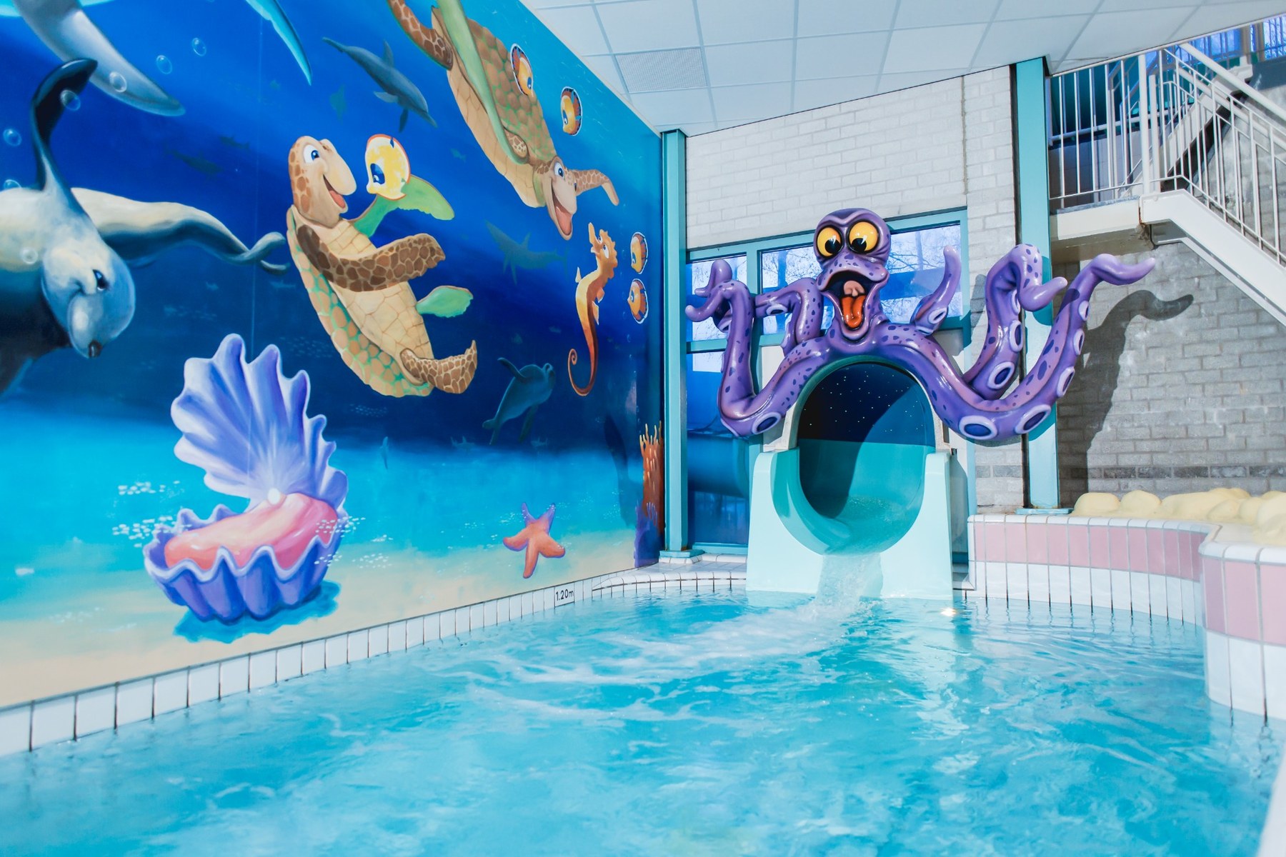 De paarse octopusglijbaan in het recreatiebad